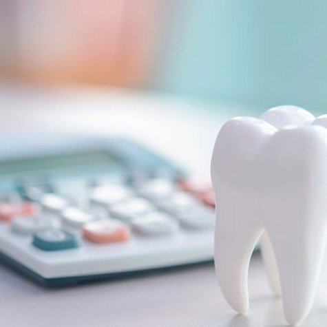 Tooth model next to calculator